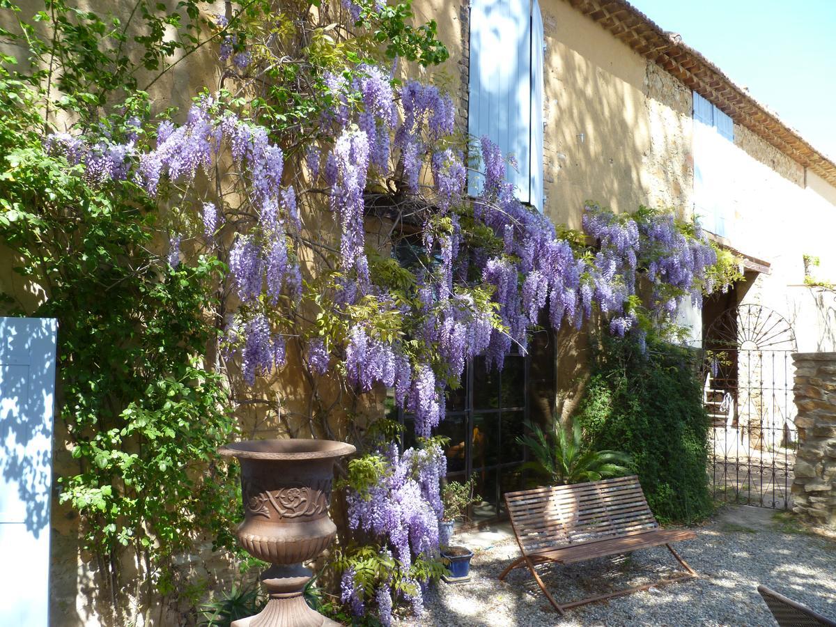 Mas Du Puits D'Amour Orange  Exterior photo
